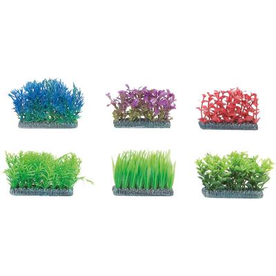 Aquarium plant Voorgrond - +/- 5 x 5 cm 5 cm Flamingo Willekeurig