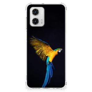 Motorola Moto G73 Case Anti-shock Papegaai