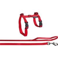 Kattentuigje met Lijn Classic Grote Kat Rood 35 - 56 cm x 12 mm Flamingo Rood