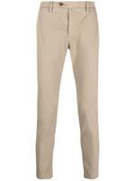 Briglia 1949 pantalon chino en coton - Tons neutres - thumbnail