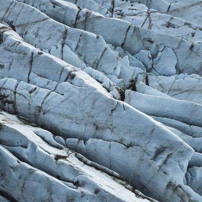 Wanddecoratie Art of Nature 019 74x74cm Wanddecoratie Art of Nature 019 74x74cm