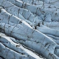 Wanddecoratie Art of Nature 019 74x74cm