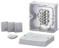 Hensel Kabelabzweigkas. 1,5-2,5qmm 4qmm 1phasig