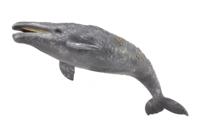 Collecta Zeedieren Grijze walvis 23 cm