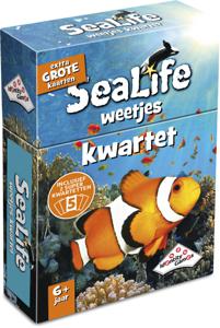 Identity Games Sealife weetjes kwartet