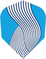 Shot Roshi standard 6 dart flights