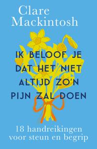 Ik beloof je dat het niet altijd zo&apos;n pijn zal doen (Paperback)