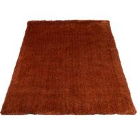 Veer Carpets - Karpet Lago Terra 63 - 240 x 340 cm - thumbnail