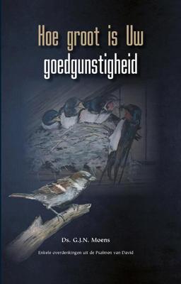 Hoe groot is Uw goedgunstigheid - G.J.N. Moens - Hardcover (9789461151872)