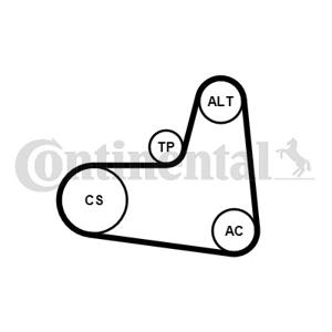 Poly V-riem set CONTINENTAL CTAM, u.a. für Audi, VW, Seat, Skoda