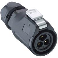 Lumberg 0251 03 Ronde connector Stekker, recht Totaal aantal polen: 3 1 stuk(s)