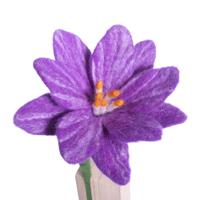 Bloem Belle van Vilt (Paars)