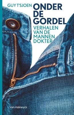 Onder de gordel - Guy T'sjoen - eBook (9789461318169)