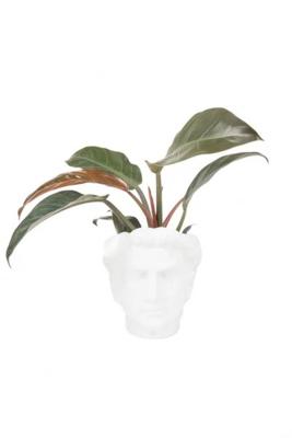 Zusss bloempot hoofd man keramiek wit Zusss bloempot hoofd man keramiek wit