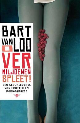 O vermiljoenen spleet - Bart Van Loo - ebook