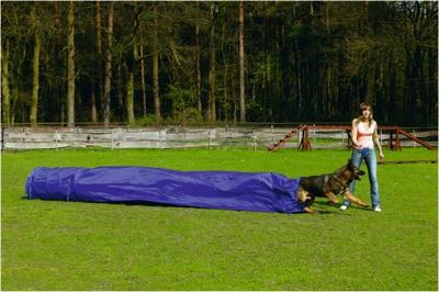 Beeztees Agility Tunnel met Zak - Hondenspeelgoed - 500x60x60 cm