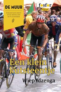 Een klein kutsteentje - Wiep Idzenga - ebook