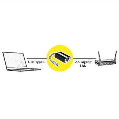 ROLINE USB 3.2 Gen 2 naar 2.5 Gigabit Ethernet Converter