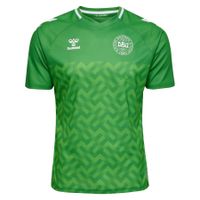 Denemarken Keepersshirt 2023/24