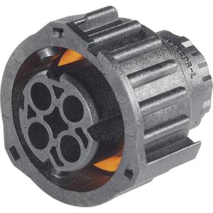 TE Connectivity 1-968968-3 Ronde connector Bus, recht Totaal aantal polen: 2 Serie (ronde connectors): DIN 72585 1 stuk(s)