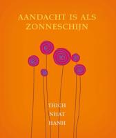 Aandacht is als zonneschijn - Thich Nhat Hanh - eBook (9789025902148)