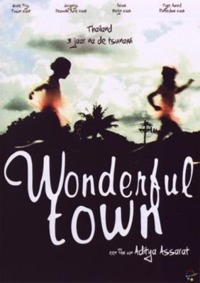 Wonderful Town - DVD (9789058495174)