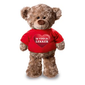 Knuffel teddybeer met ik vind je lekker hartje shirt rood 24 cm