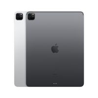 Apple iPad Pro 256 GB 32,8 cm (12.9") Apple M 8 GB Wi-Fi 6 (802.11ax) iPadOS 14 Zilver - thumbnail