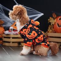 Honden Halloween outfits Hondenkostuum Pompoen leuke Style Zacht Halloween Carnaval Feest Hond puppy kleding outfits Lightinthebox - thumbnail