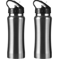 Set van 2x stuks luxe Drinkfles/waterfles 600 ml zilver van RVS - thumbnail