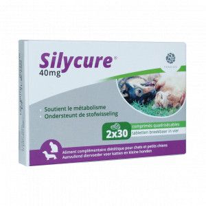 Silycure 40 mg tabletten voor katten en kleine honden 60 tabletten