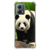 Motorola Moto G53 Case Anti-shock Panda - thumbnail