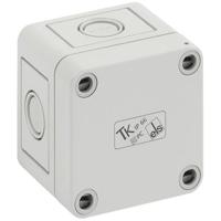 Spelsberg TK PC 77-6-M 12740101 installatiekist lichtgrijs 65 x 65 x 57 polystyreen, polycarbonaat, polyurethaan, polyamide, 1 stuk
