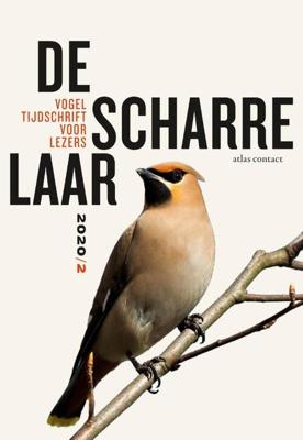 De scharrelaar - Diverse Auteurs - Paperback (9789045042824)