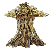 Superfish Bonsai Mushroom Medium - Realistische Aquascape Decoratie voor Aquaria - thumbnail