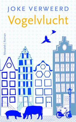 Vogelvlucht - Joke Verweerd - eBook (9789023978534)