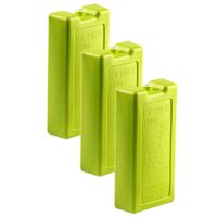 6x stuks 1100 grams koelelementen 22 x 11.5 cm groen