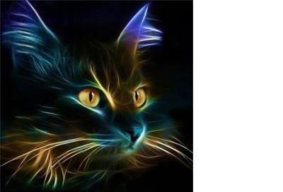 Diamond painting dieren - super aanbieding met korting