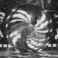 Transmute - LP (5052442020073)