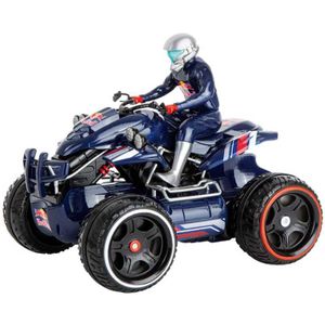 Red Bull Amphibious Quad Bike RC