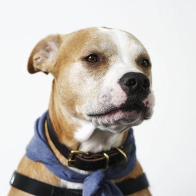 Wanddecoratie Faces 018 74x74cm Wanddecoratie Faces 018 74x74cm