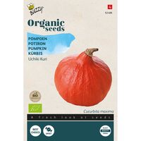 Buzzy® Organic Pompoen Uchiki Kuri (BIO) - thumbnail