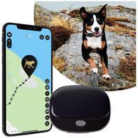 PAJ GPS PET Finder 4G 2.0 Black GSM-tracker - thumbnail