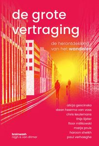 De grote vertraging - Diverse auteurs - ebook