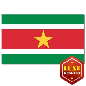 Surinaamse vlag goede kwaliteit   -