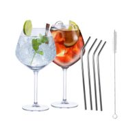 Set van 4x Gin Tonic cocktailglazen met 4x rietjes RVS