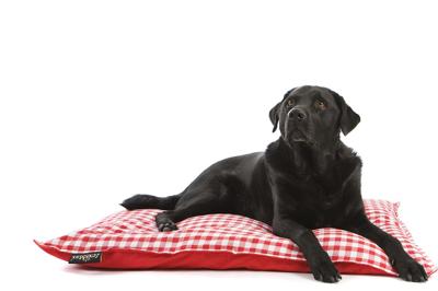 Lex & Max Hondenkussen Carlos Rood - 100 x 70cm - Kussenhoes Lex & Max Hondenkussen Carlos Rood - 100 x 70cm - Kussenhoes