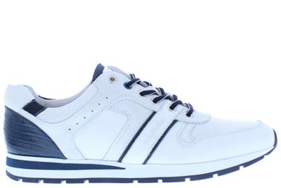 Australian Ramazotto white blue Wit Australian Ramazotto white blue Wit