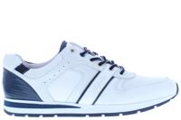 Australian Ramazotto white blue Wit 