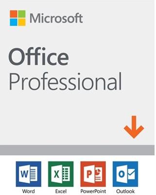 Microsoft Office Professional 2019 1 licentie(s) Meertalig